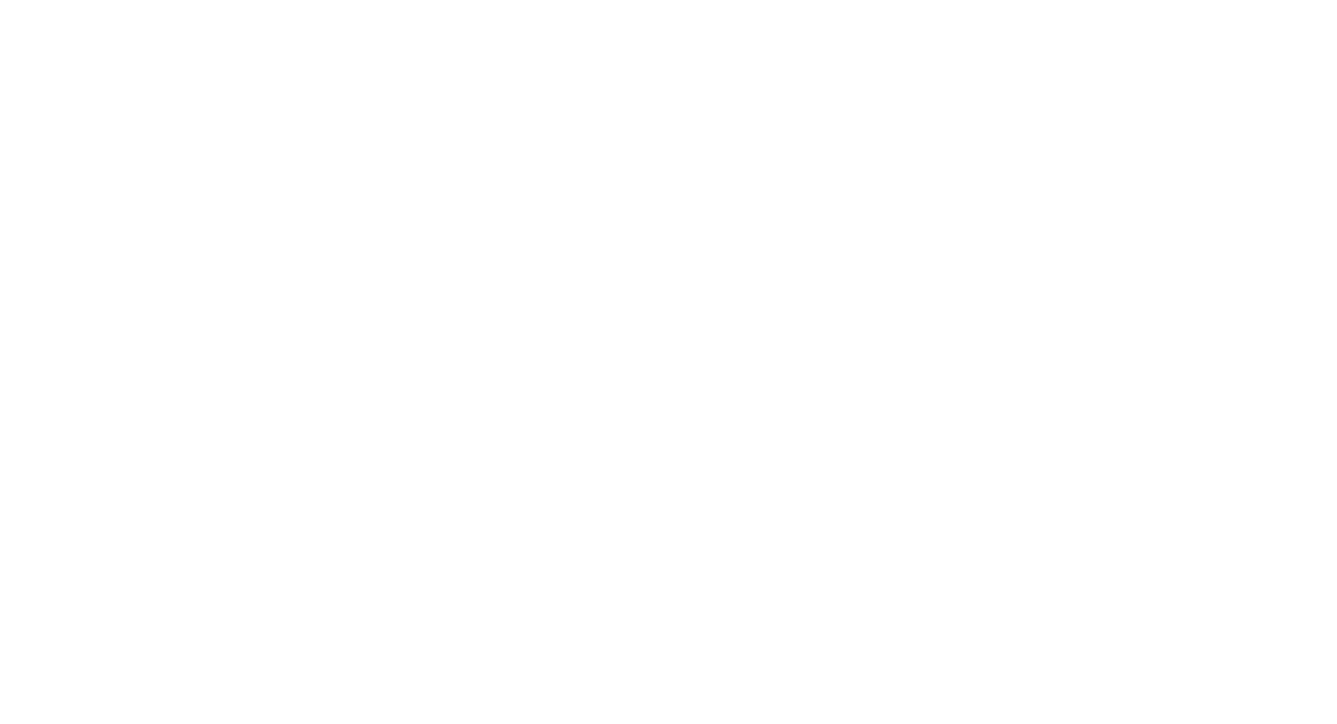 Dennis Nazar logo